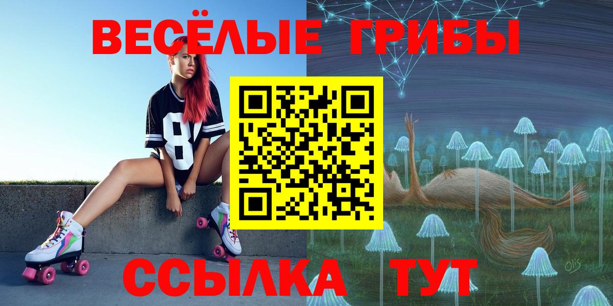 Псилоцибиновые грибы GOLDEN TEACHER Бугуруслан